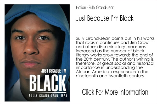 Fiction - Sully Grand Jean - Just Because I'm Black